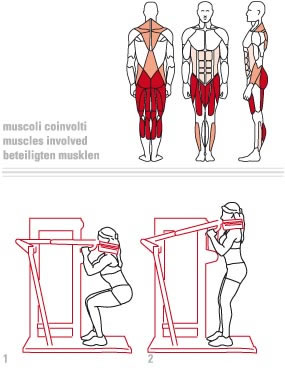 Teca squat muscoli